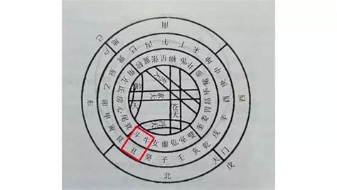 乙丑年|八字干支解读——乙丑：一组充满矛盾的干支，能弯能直，可柔可。